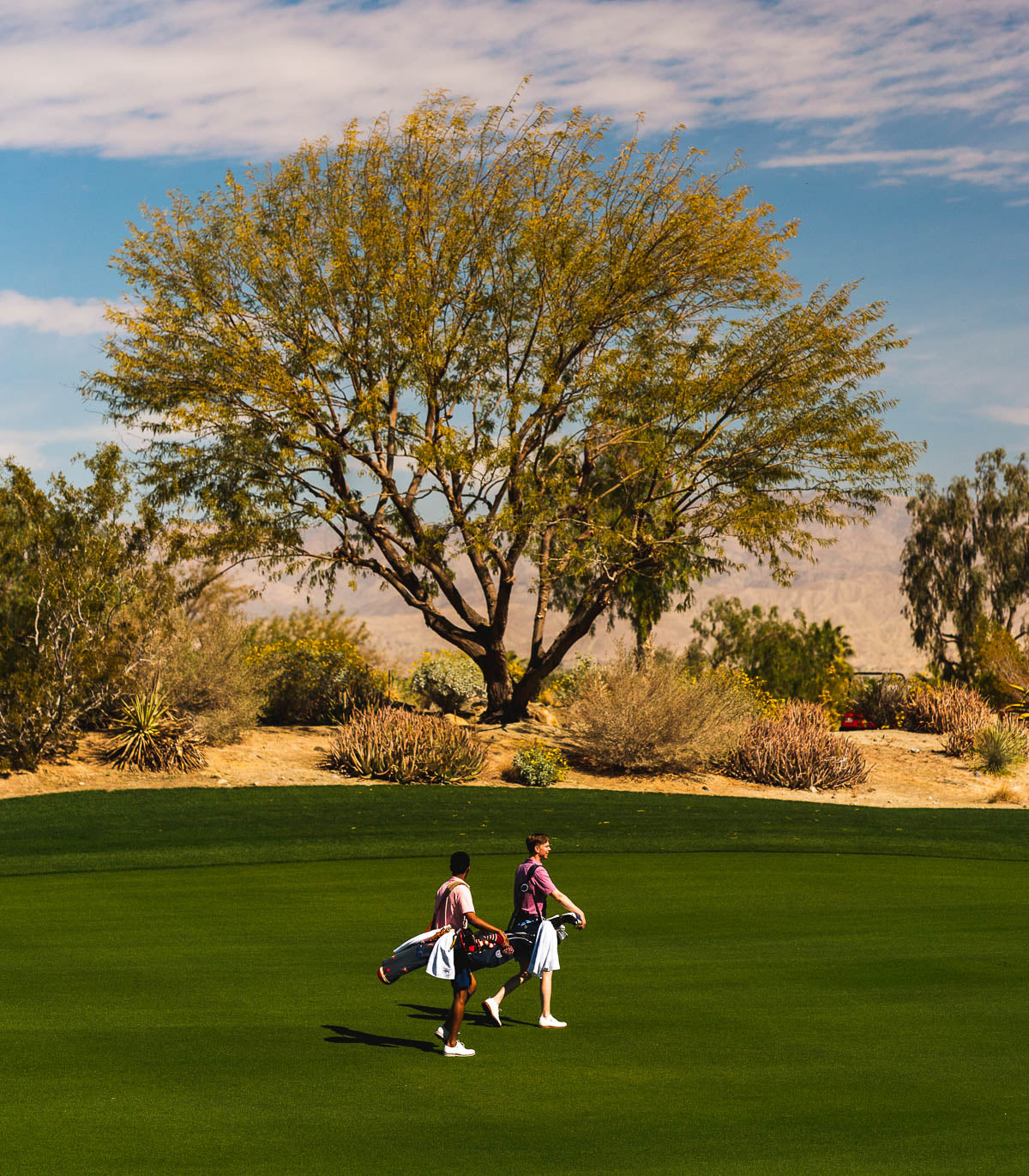 Golf Gift Guide