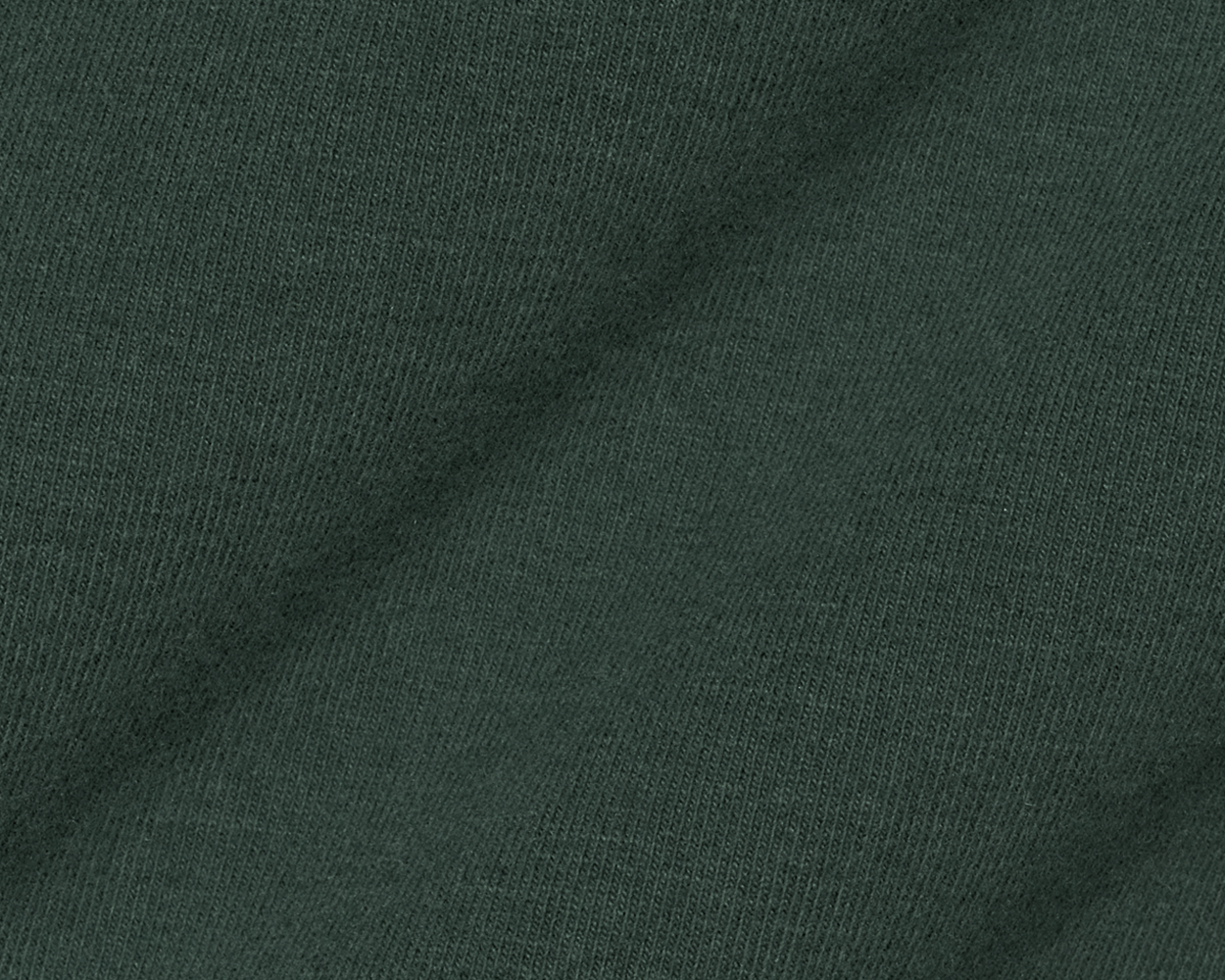 The Mason T-Shirt: Cypress