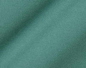 The Jackson Hoodie: California Spruce